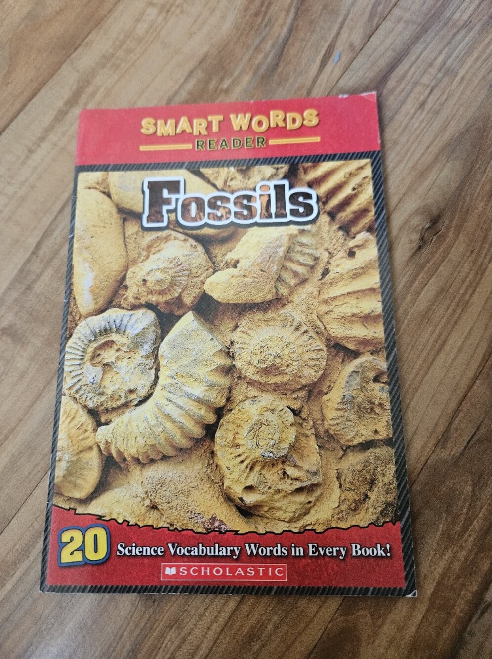 Scholastic Fossils Reader - Yellow and Red Cover